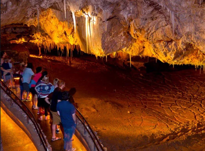 nniemazz's tweet photo. if you grew up in AZ you know this field trip was lit https://t.co/WHteQwS2mA