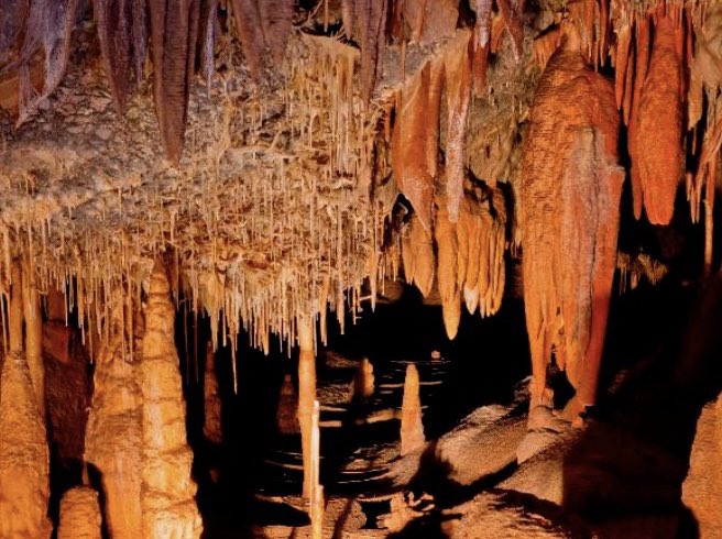 nniemazz's tweet photo. if you grew up in AZ you know this field trip was lit https://t.co/WHteQwS2mA