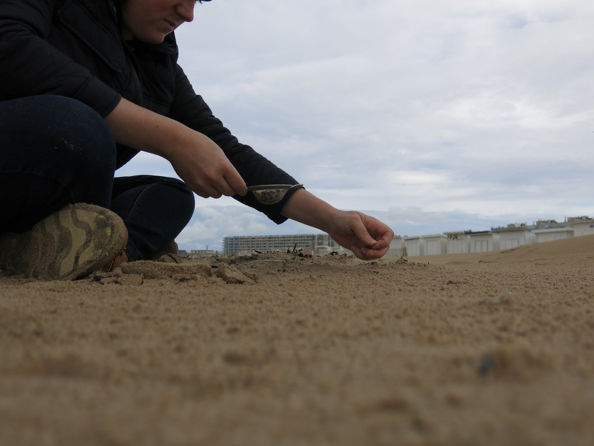 AlixDwt's tweet photo. Photo souvenir d'un ramassage de #microbilles en #plastique sur la plage de #Calais 🌊🚮

#cleanwalk #noplasticinmysea #mermaidtears #nurdle https://t.co/GDrLAyB5mW