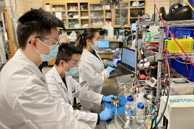 UofTEngineering's tweet photo. A multidisciplinary team of #UofTEngineering students have received a US $250,000 @XPRIZE Carbon Removal Student Award for their innovative electrochemical process that could dramatically lower the energy cost of capturing atmospheric CO2 👏🏆🌎: https://t.co/aOA8asap4G #E4TW https://t.co/r1oxbra1Pz