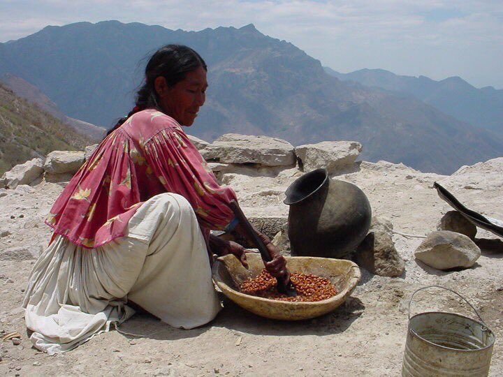 SECTUR México tweet media