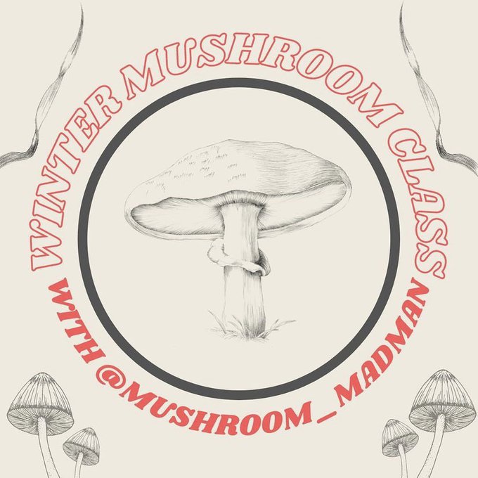 It&rsquo;s paint lesson night at Fells Point Cultivated Creations! If you live in the DMV area &amp; love art,