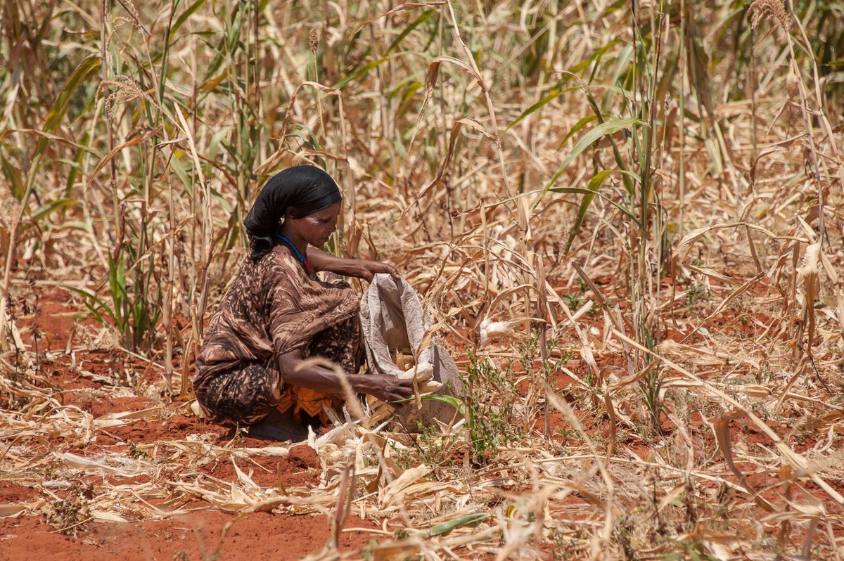 waccglobal's tweet image. #ICYMI: Communication rights are 
central to climate justice: bit.ly/3c2sIM2

Photo by ©Johannes Ode/ACT Alliance/Church of Sweden

#cop26 #ClimateJustice
