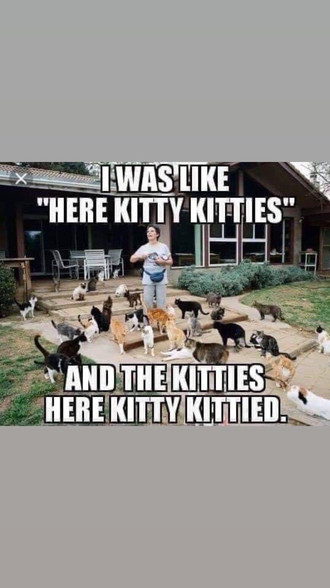 EmilyKDaily's tweet photo. @MattAClough Future Matt. 😻 https://t.co/evKCAIP9Nf