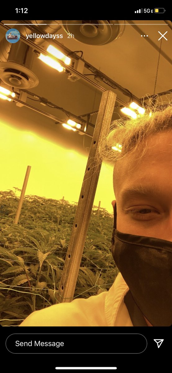 Solstice tweet media