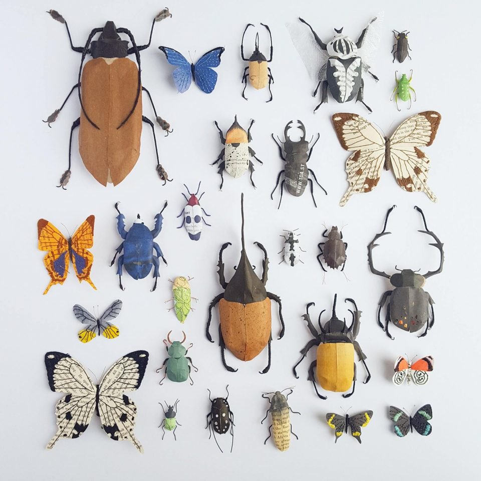 taxidermistelle's tweet photo. While we’re on the theme of insects at the podcast this week, after the launch of @monotomidae’s epsiode, have a look at these incredible artworks by #KateKato. These insects are made out of recycled paper. PAPER. Image credit belongs to the artist. #Specimens 🪲 https://t.co/qnLwfecynt