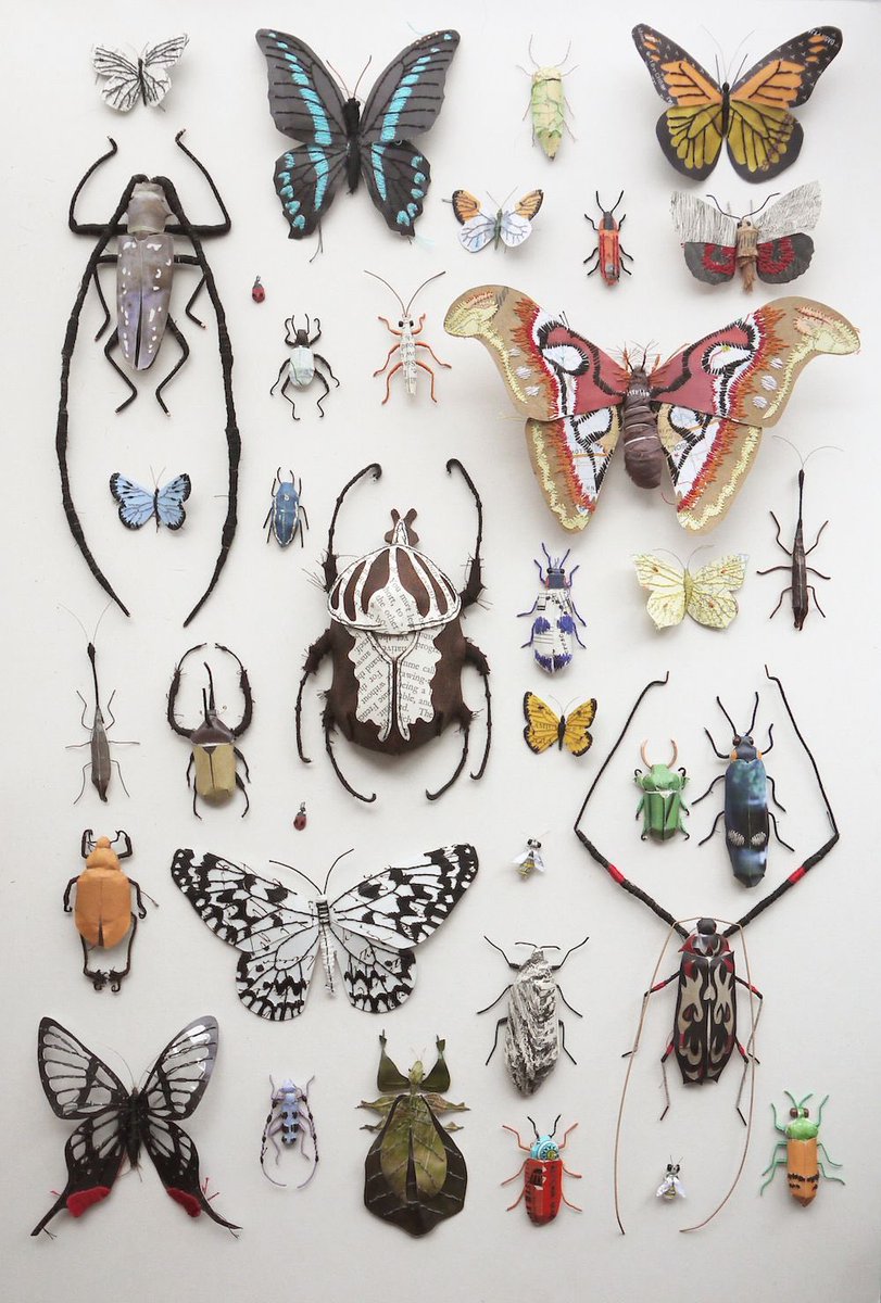 taxidermistelle's tweet photo. While we’re on the theme of insects at the podcast this week, after the launch of @monotomidae’s epsiode, have a look at these incredible artworks by #KateKato. These insects are made out of recycled paper. PAPER. Image credit belongs to the artist. #Specimens 🪲 https://t.co/qnLwfecynt