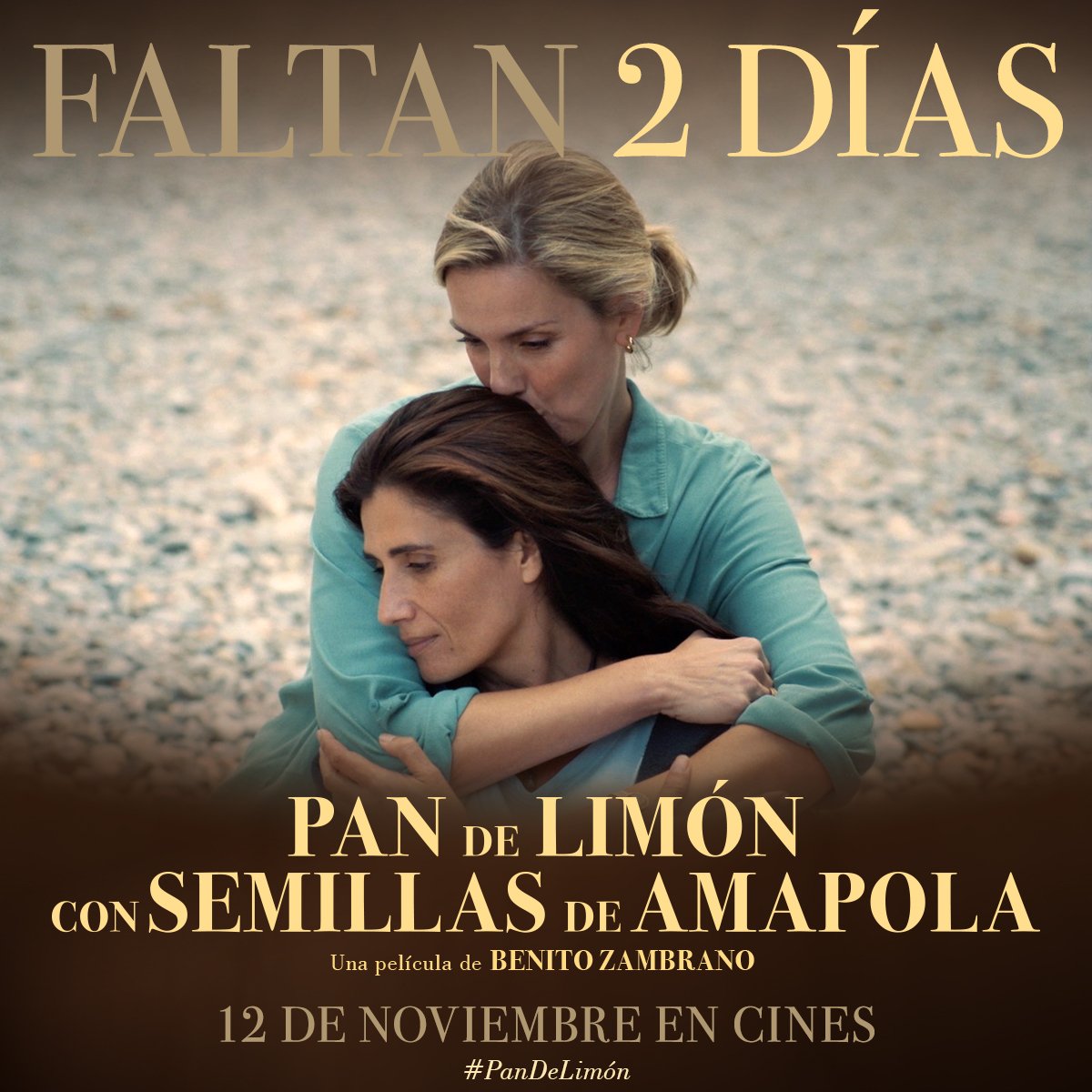 filmax's tweet photo. El amor de una hermana no se olvida ni se desvanece.❤️ Un vínculo eterno que permanece a pesar del tiempo y la distancia.

¡En solo 2️⃣ días se estrena #PanDeLimón en cines! 🍿 #YoVoyAlCine https://t.co/mkL4D5rYBR