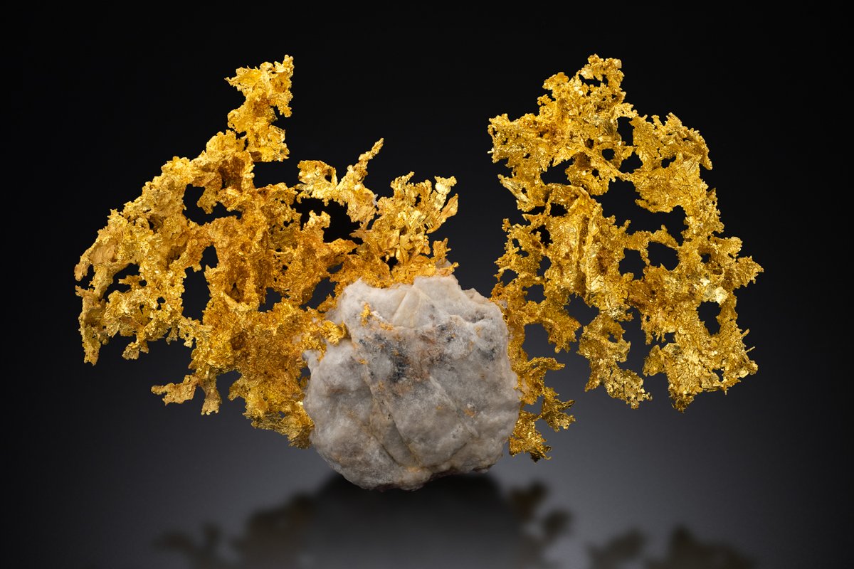 JMU's tweet photo. Raise your hand if you knew the JMU Mineral Museum has re-opened on campus? (1/2) https://t.co/zSjPqk7MuE