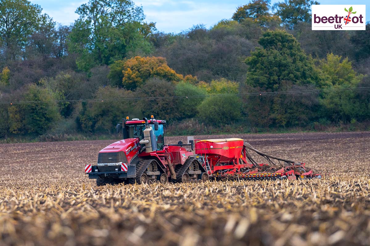 StanWhiteFarms's tweet photo. Here is Ratty drilling winter wheat for harvest 2022 👍

#stanwhitefarms #caseihquadtrac #beetrootuk https://t.co/ViwmpcfkVF