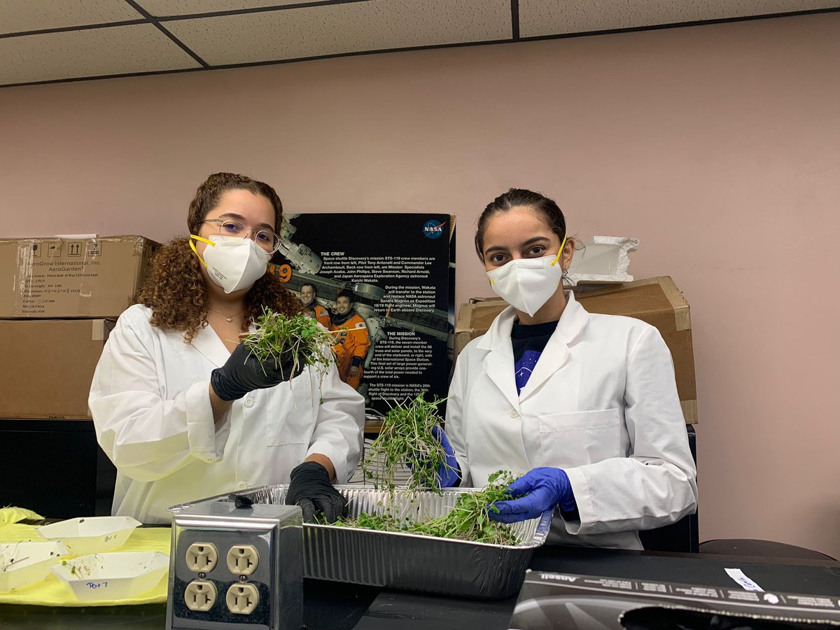 SEDSGOESGREEN's tweet photo. Hi everyone! Last Thursday we had our second harvest of the #plantthemoonchallenge in which we had amazing results! In the pictures, you can see two of our team members of the Plant Science Division who were in charge of the harvest. 

Who is ready for a space salad 🌱🚀? https://t.co/9nSpMxmkNX