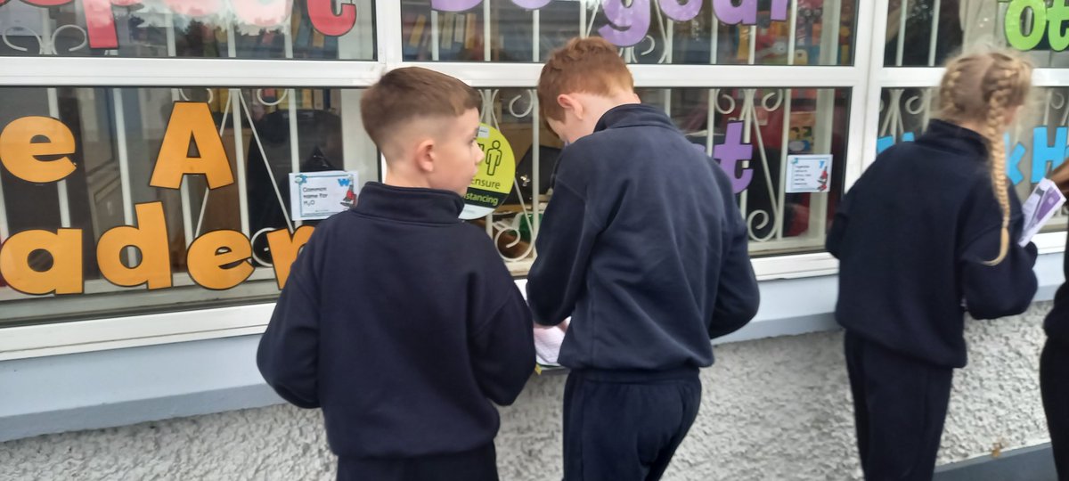 rosesns's tweet photo. Great fun and learning with @seomraranga #sciencetrail #ScienceWeek2021 @PDSTie https://t.co/JryL2tO9Q7
