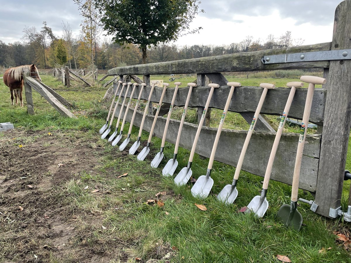 Tim Mangelaars tweet media