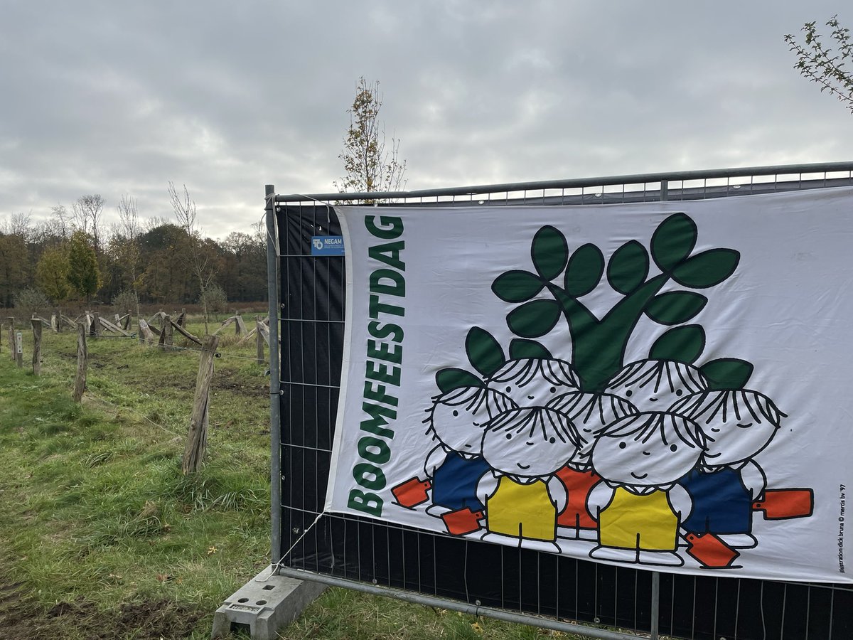 Tim Mangelaars tweet media