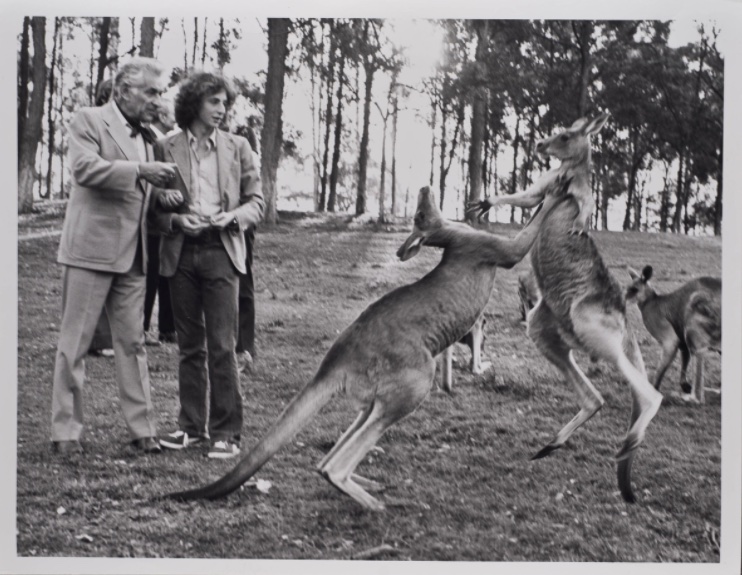 Leonard Bernstein tweet media