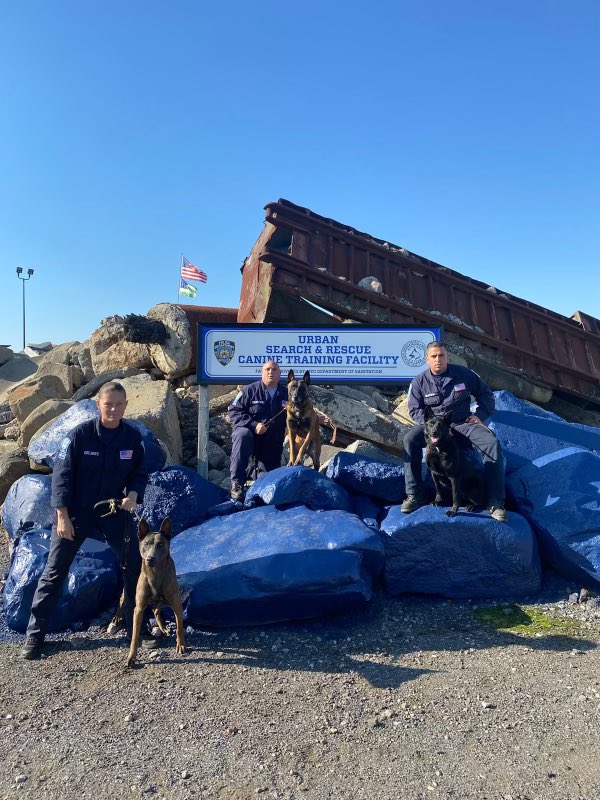 NYPDSpecialops's tweet photo. Congratulations to #NYPD ESU #canines Russel, Tombo, and Steven on successfully passing their FEMA human remains recertification. These dogs are specially trained to sniff out victims either alive or deceased, that may be trapped or buried in a building collapse. https://t.co/ALxDIAl1dq