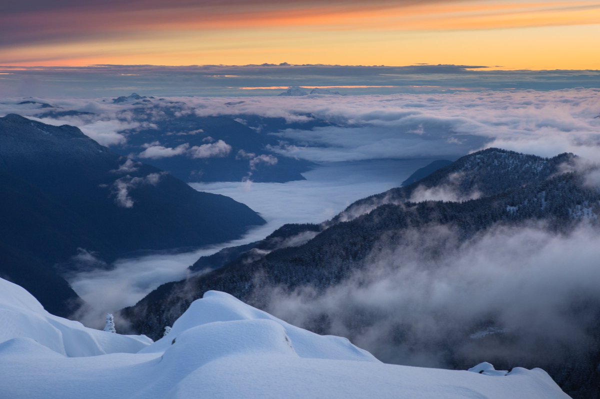 Elliot Hawkey tweet media