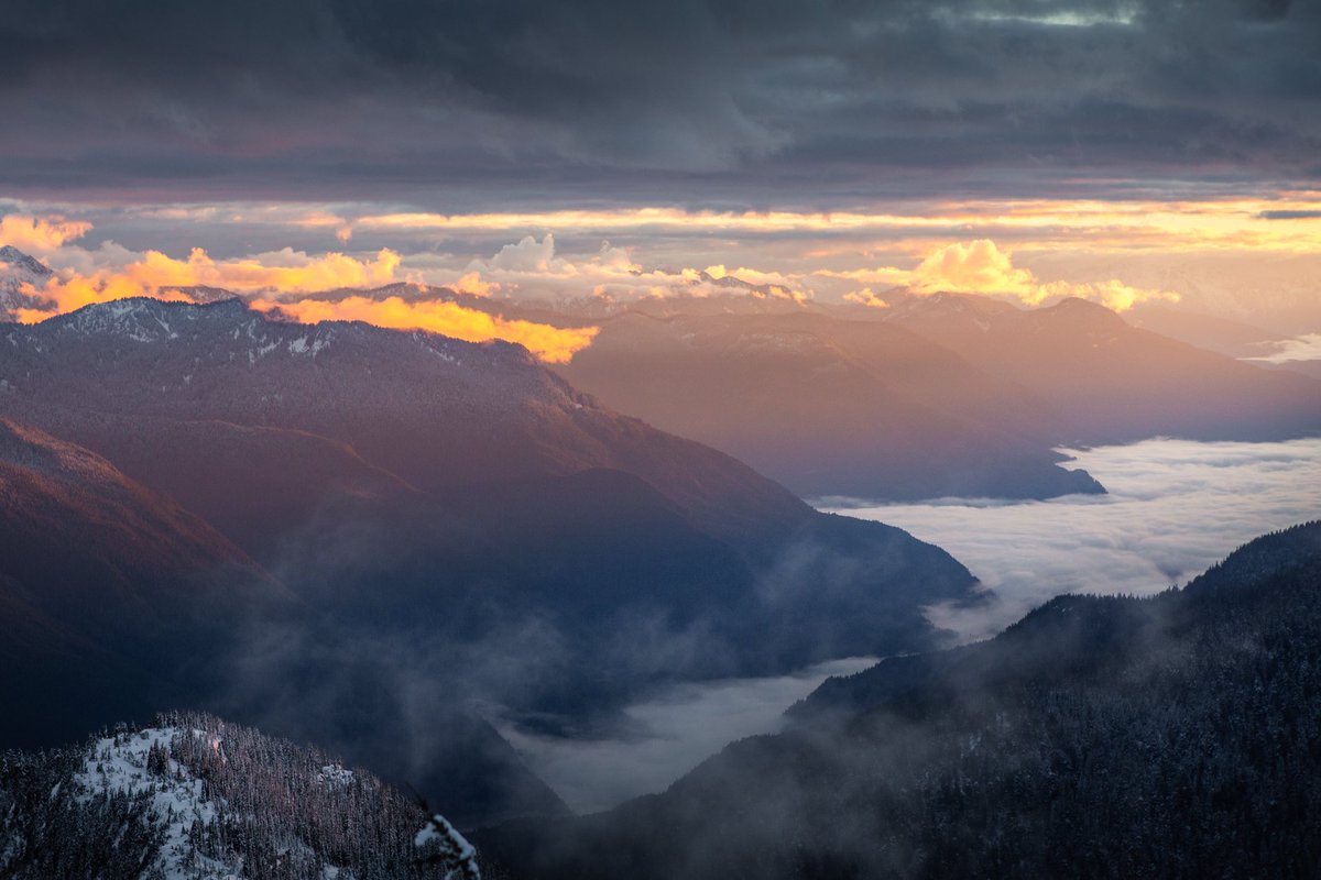 Elliot Hawkey tweet media