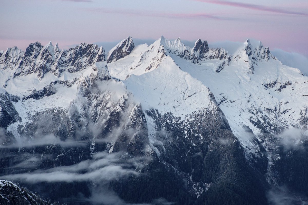 Elliot Hawkey tweet media