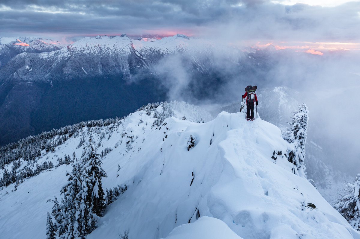 Elliot Hawkey tweet media