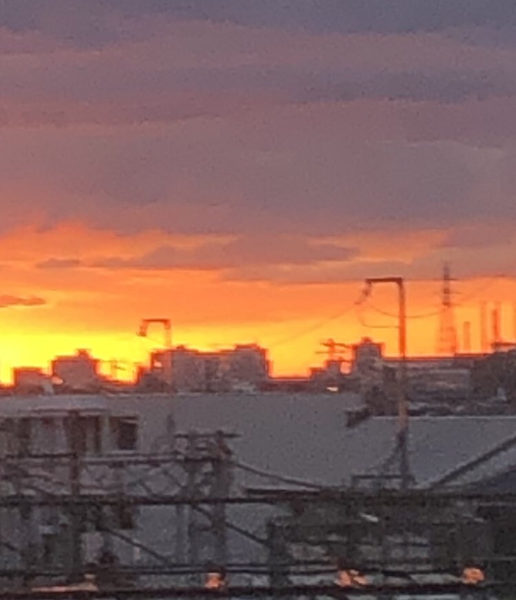 ak213302's tweet photo. 今日の道しるべ

そのまま受けるのが学びの秘訣
習い事もスポーツも、自分の思いを挟まず、教わった通り行うのに、勝る上達法はない。　

#自動化
#SNS起業
@ak213302 https://t.co/96wxVrdf1g