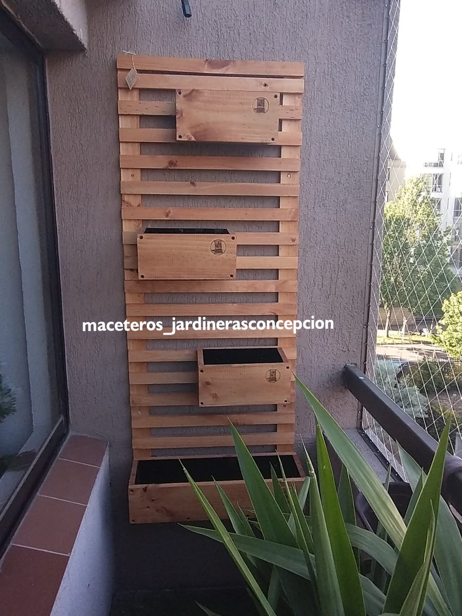 MaceterosC tweet picture