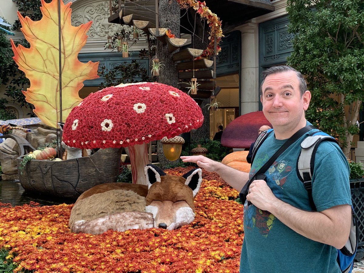 CaffeineMan1's tweet photo. Apparently, other drinks can give you wings too! Some shots @bellagio in the Bellagio Botanical Gardens. #bellagio #bellagiobotanicalgardens #c4 #c4onthego #c4energy #igniteyourfire #energy #energydrink #caffeineman1 https://t.co/yKbUL2dKEM