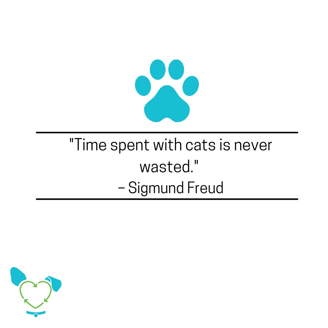 TheMicrobial's tweet photo. "Time spent with cats is never wasted." – Sigmund Freud https://t.co/vGNHMdxnDd