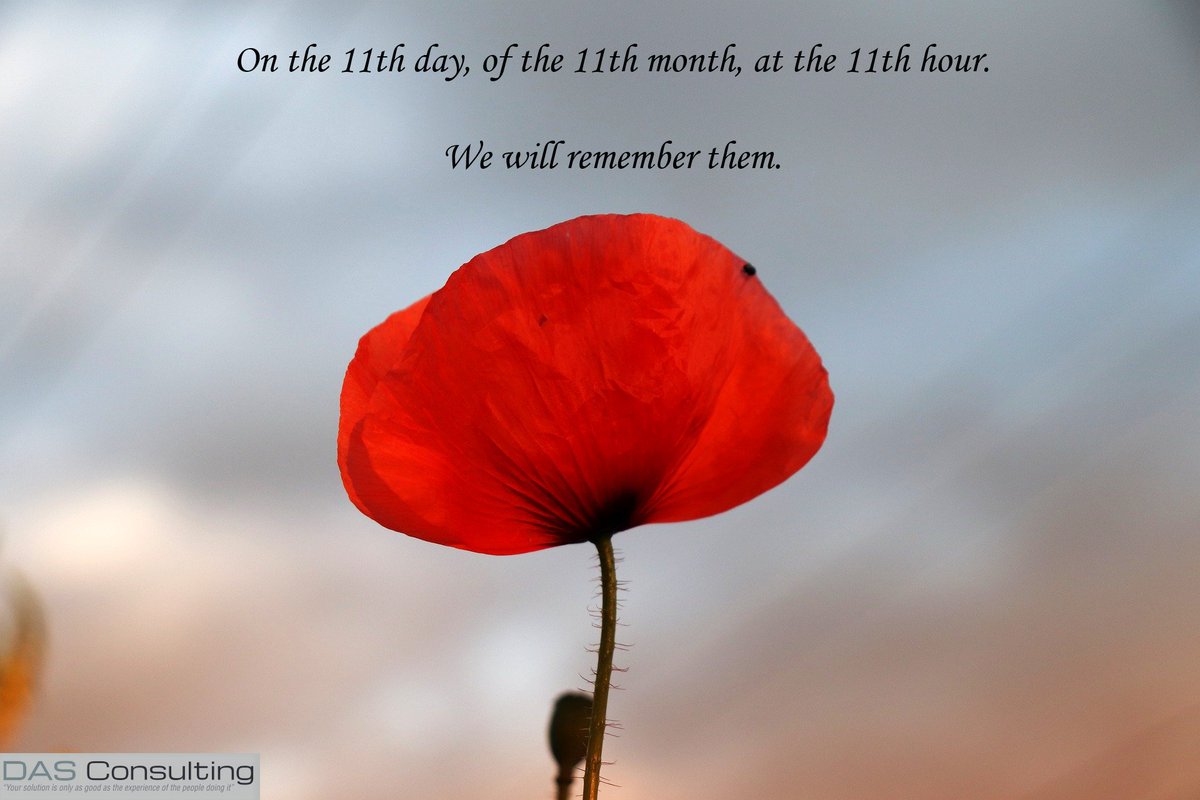 DASC_Aus's tweet photo. "They shall grow not old, as we that are left grow old:
Age shall not weary them, nor the years condemn.
At the going down of the sun and in the morning
We will remember them."

"The Fallen"
Laurence Binyon https://t.co/hBLCNNOeGu
