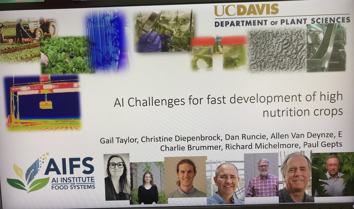 Gail Taylor (@ucldeanlifesci) on Twitter photo Today <a href="/UCDavisPlants/">UCDavisPlants</a> discussing how plant breeding can produce more nutritious crops for the future Today <a href="/UCDavisPlants/">UCDavisPlants</a> discussing how plant breeding can produce more nutritious crops for the future