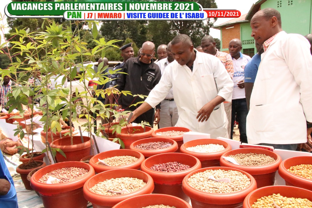 7/n #ISABU plans to stop importing selected seeds into Burundi in 2024. For hybrid maize, with the year of 2022, 75% of the seeds will come from #ISABU which will cause the cashing in of foreign currency injected until now in the importation. #Gisozi