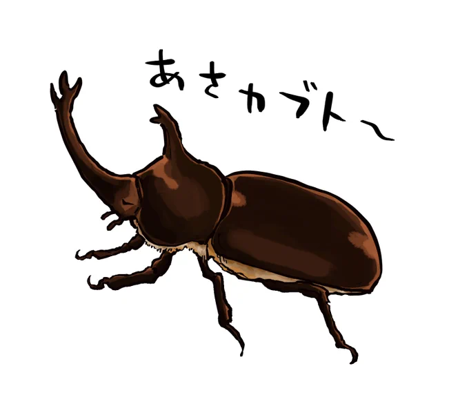 おはようございます 