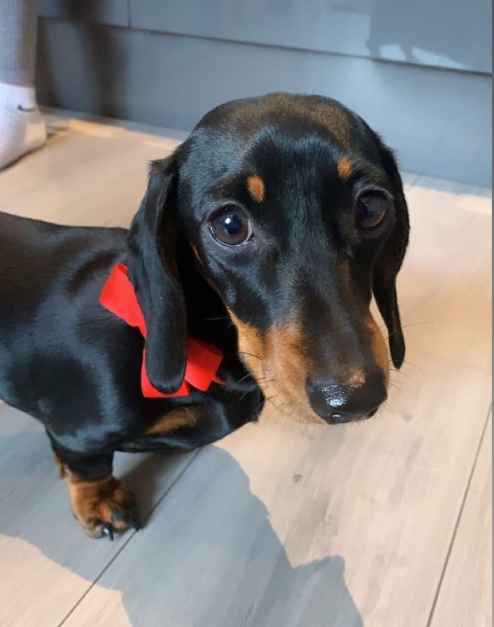 MegEleRoberts's tweet image. Anyone want a sausage. She’s gone through 50 pairs of MY KNICKERS, I can’t deal with it anymore.