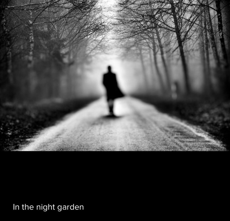 eloxis_79's tweet photo. In the night garden - Elox #photography #blackandwhite #photographers https://t.co/Tcq7mEWgwt