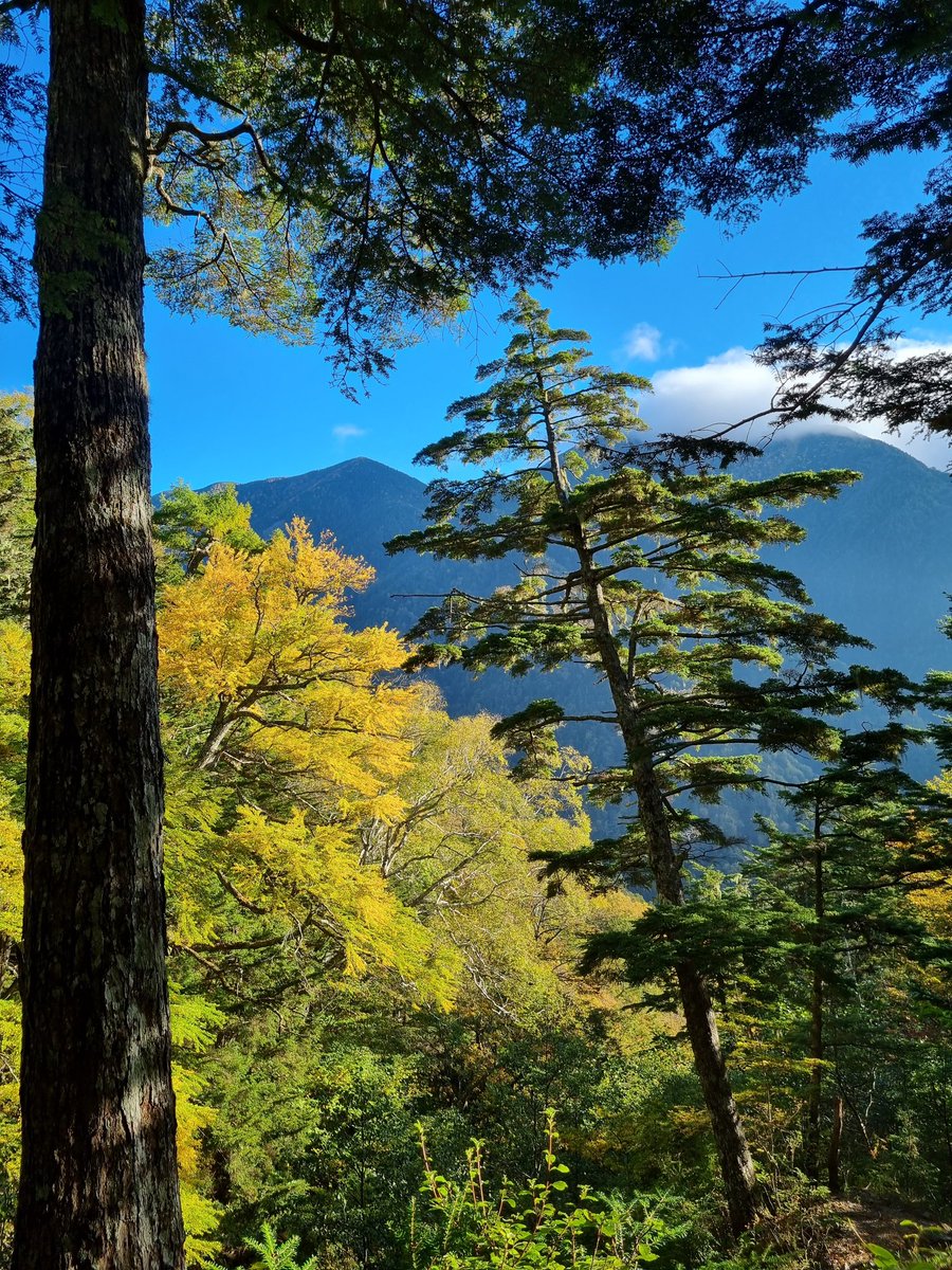 MomentWithNick's tweet photo. @dec_vs Recent Kitadake hike. https://t.co/nGW3kUj2K4