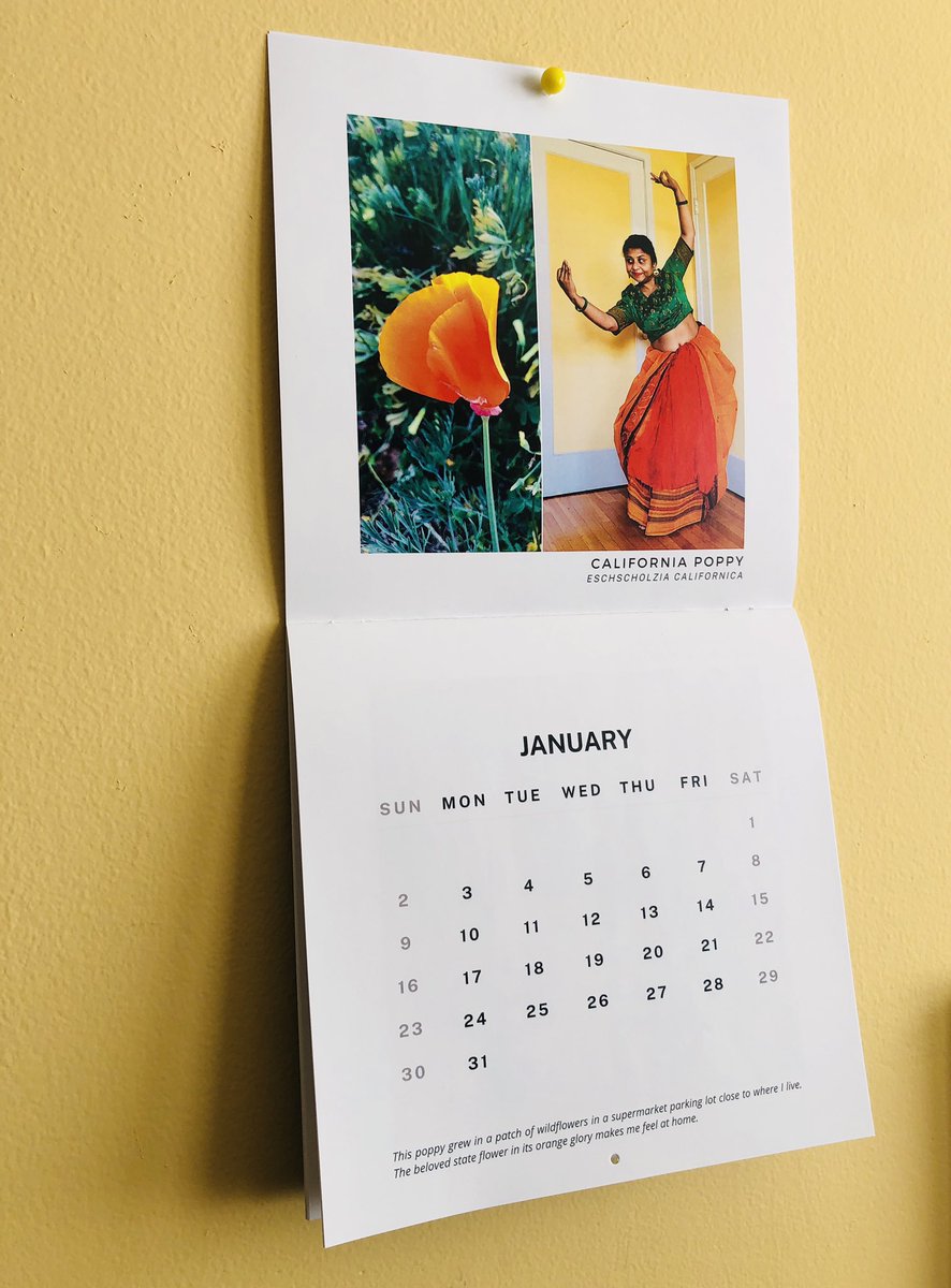 berkeleywali's tweet photo. I made a thing! Get your 2022 calendar featuring my California native flower interpretations https://t.co/nNQRF9KTxj
50% of proceeds benefit #californianativeplantsociety #sogoreatelandtrust
#madeinBerkeley #californianativeplants
#sari #southasianartist @berkeleyside https://t.co/apTtMtk8y4