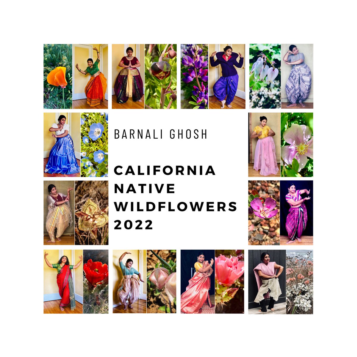 berkeleywali's tweet photo. I made a thing! Get your 2022 calendar featuring my California native flower interpretations https://t.co/nNQRF9KTxj
50% of proceeds benefit #californianativeplantsociety #sogoreatelandtrust
#madeinBerkeley #californianativeplants
#sari #southasianartist @berkeleyside https://t.co/apTtMtk8y4