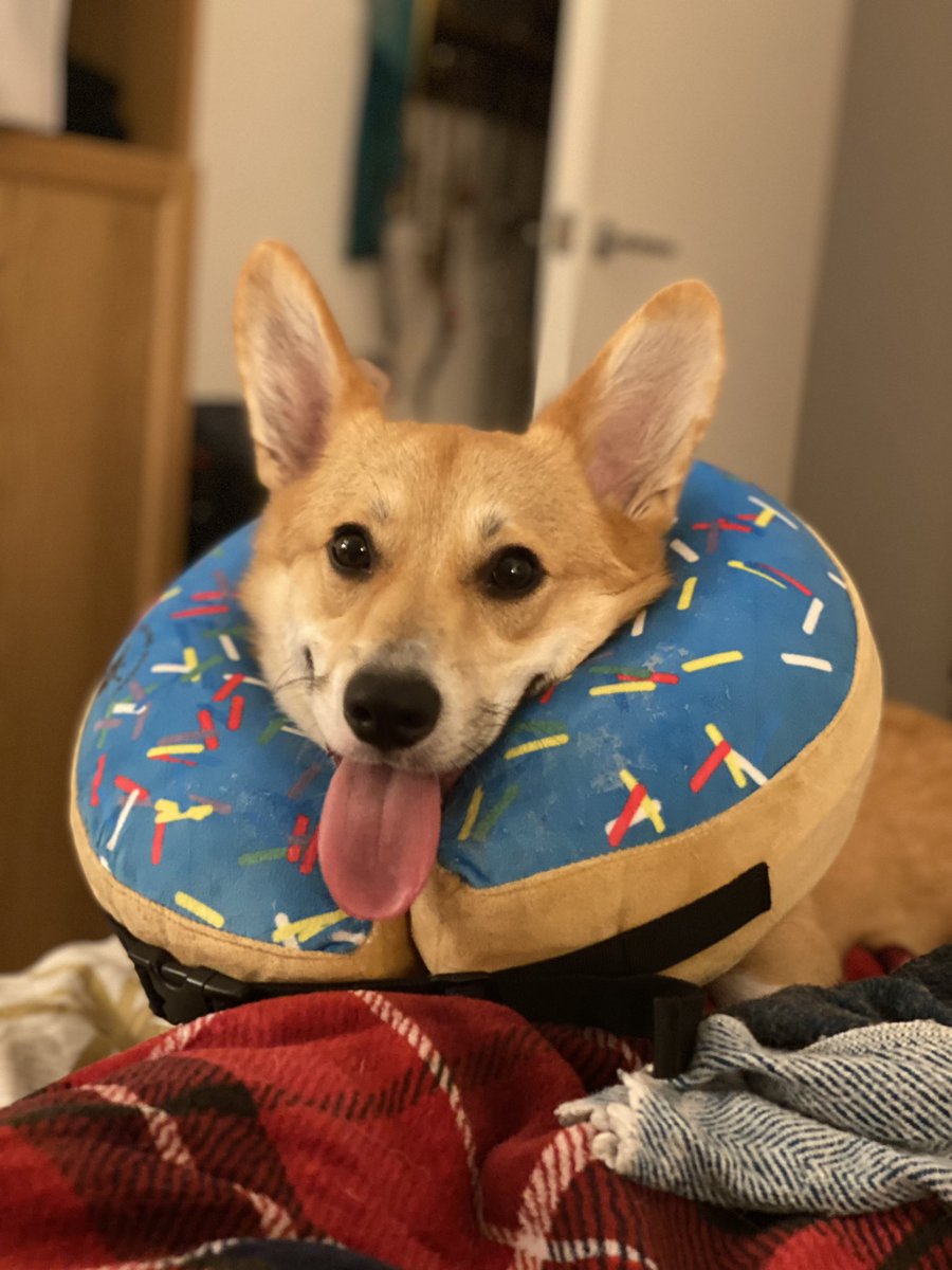 David Jarvis tweet media