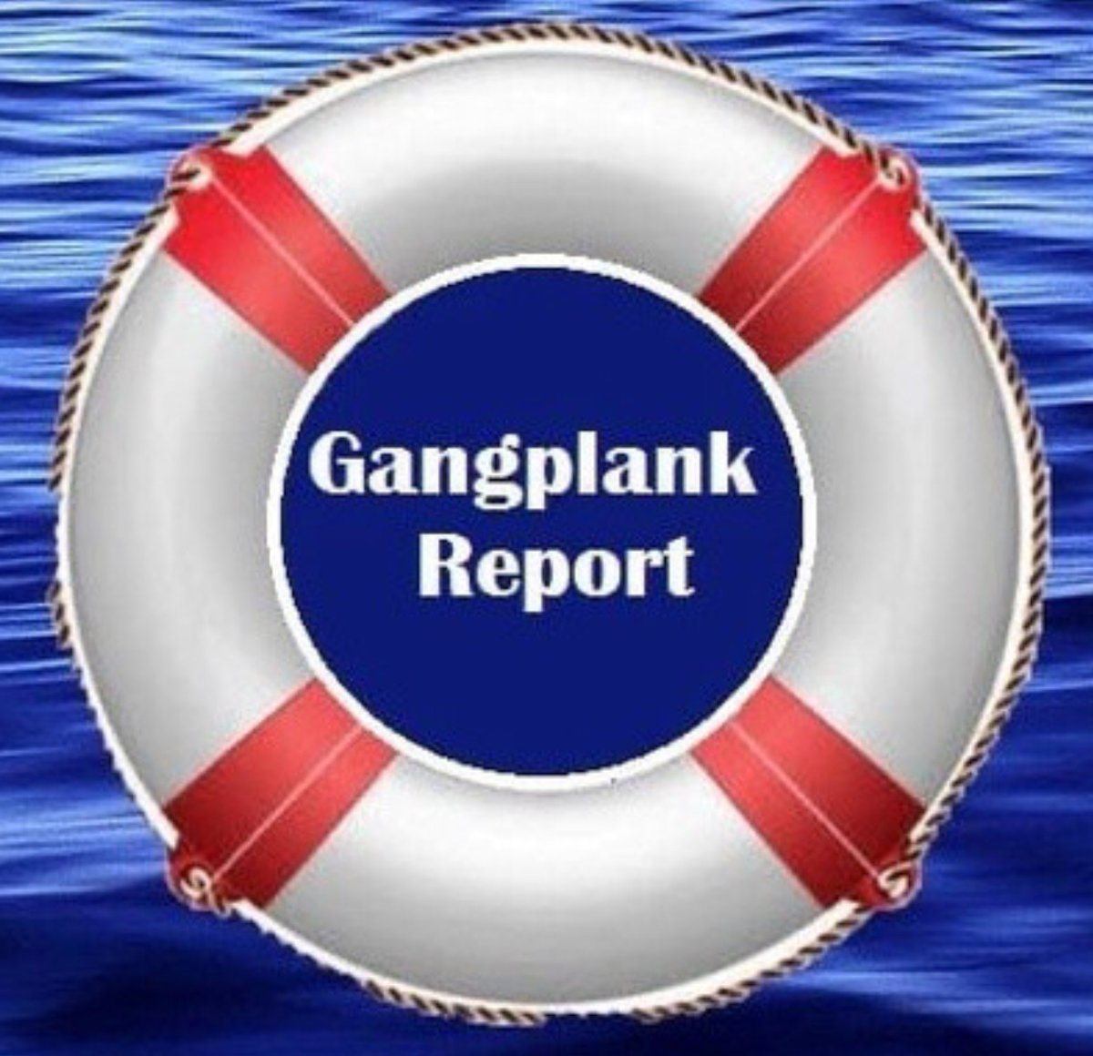 Blue Zebu 2020 🇺🇸🇮🇪🏴🇫🇷 tweet media