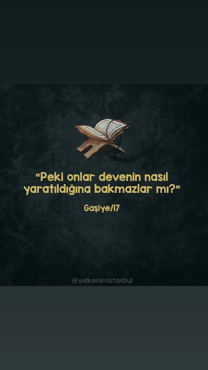 Erhanslsprr's tweet photo. SubhanAllah https://t.co/x0O8lYYW5c
