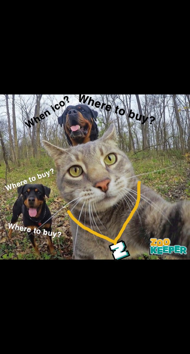 Jerry Jefe tweet media