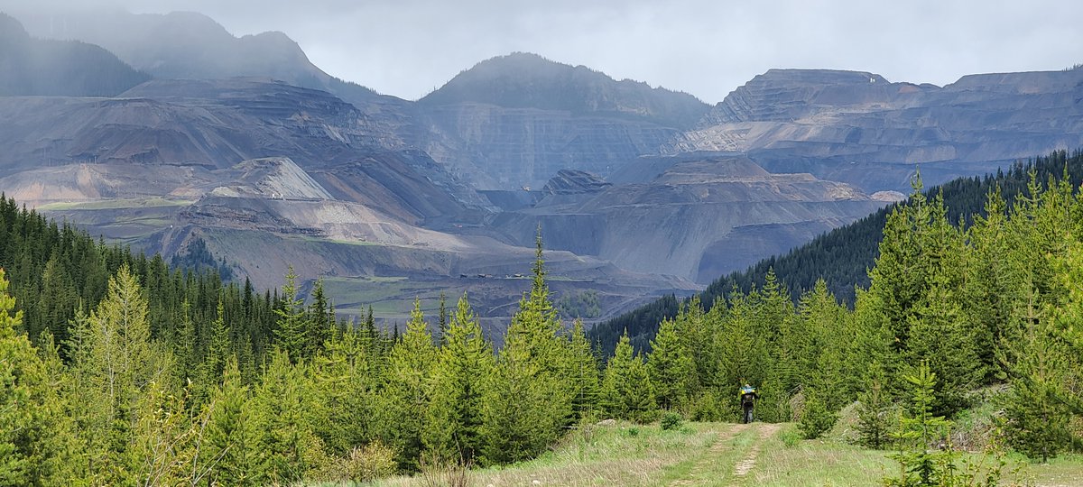 In case you missed it: the AHA wrote a letter to the Alberta Coal Policy Committee in June this summer. 

In light of today's update on the committee's report extension, you can read the letter we wrote at the link below. #ableg #abhiking #abcoal

abhiking.ca/news/?v=d&id=3…