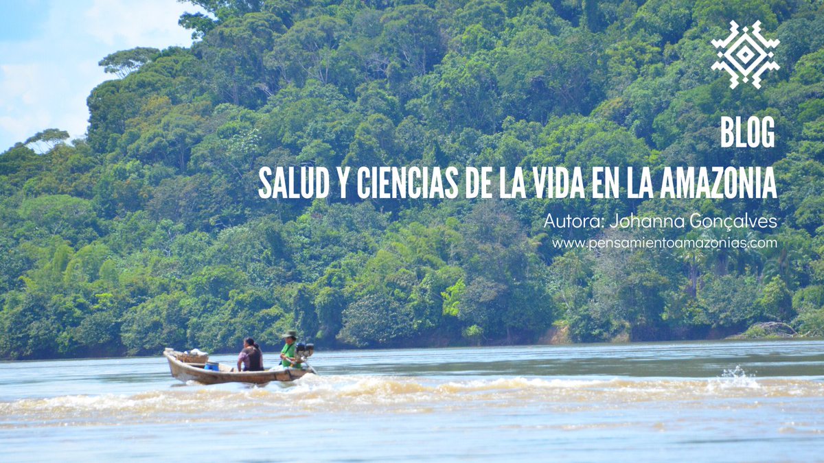 centroamazonias's tweet photo. #BlogCEPAM 🤓 Existen múltiples formas de concebir el estado de bienestar que llamamos salud y las formas de infortunio que llamamos enfermedad, especialmente cuando nos referimos a la salud en la Amazonia. 🦜

👉🏽Lee nuestro Blog aquí: https://t.co/ewkIPLlIgq https://t.co/FbKwUjKpAV