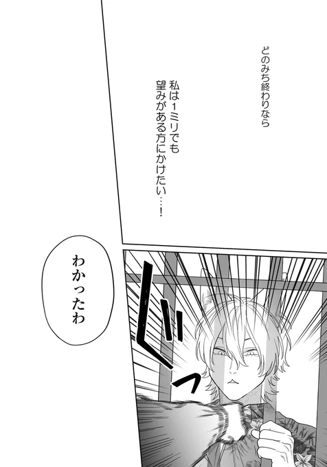 (6/6) 