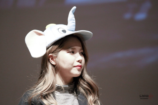 solarhourly's tweet photo. #SolarOnThisDay
♡ 161112 – yongsan fansign
#SOLAR #솔라 #MAMAMOO #마마무 https://t.co/cSZ7XUgphd