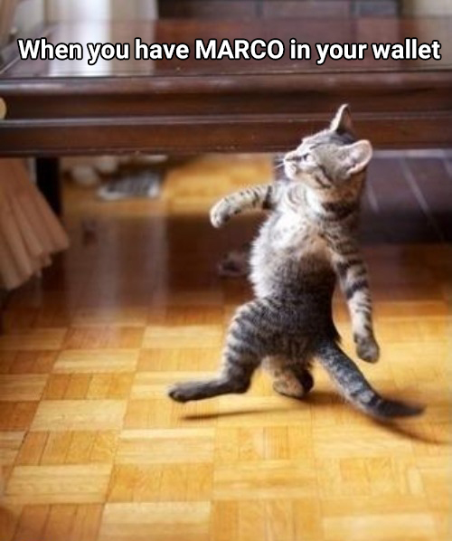 CryptHodor's tweet photo. The future is ours $MRC #MRCToMars #MarcoTravel
@Marco___travel https://t.co/i9mngsxfLX