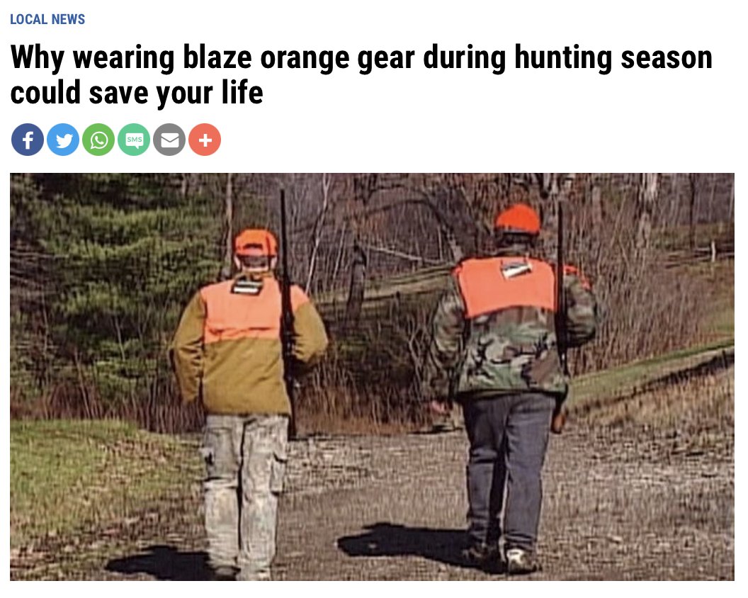 Jeff Hobbs tweet media