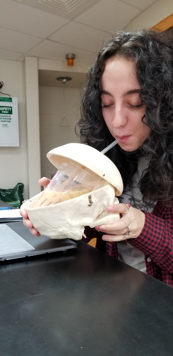 gm8585's tweet photo. #CountUp Day 58!
Baby bones got his dying balloon stolen. Also, I gave @paige_desimone an #HHSAnatomy cup holder. Prepped my lunch over some Zoology class squids.
#ThanksJacobs https://t.co/dts8etee7Q
