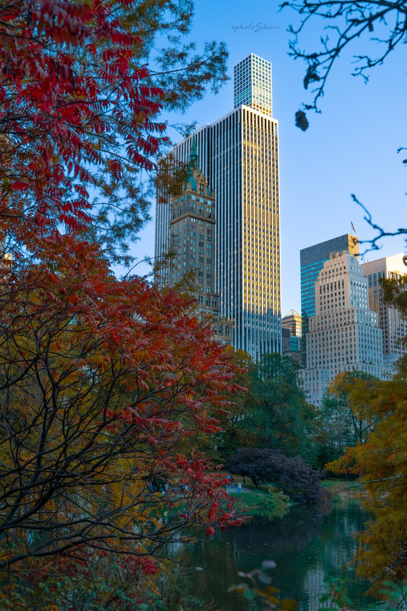 NRwaterfront's tweet photo. Best time of the Year #centralparkfall #sonyimages #nyc https://t.co/s7vaw9pFLH