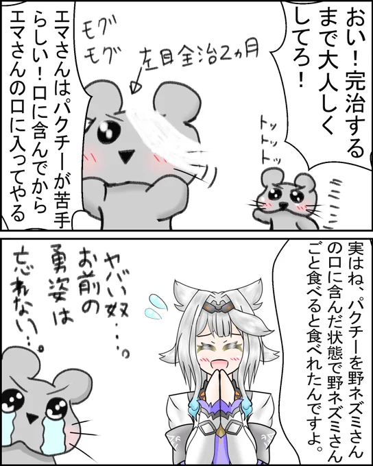 おはなのねん!
野ネズミさん!そろそろ題名決めた方がいいかしらねー 